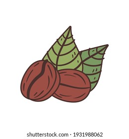 coffee beans on white background