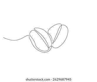 Coffee beans outline drawing illustration. Continuous line draw of natural seed vector