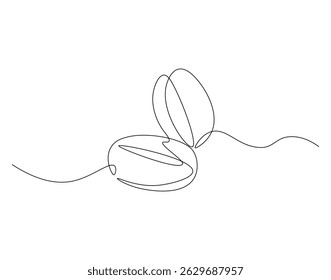 Coffee beans outline drawing illustration. Continuous line draw of natural seed vector