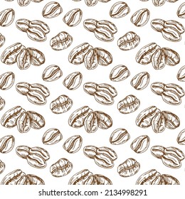 Coffee beans pattern including seamless on white background. Sketch of coffee beans. Hand drawn coffee bean vector.