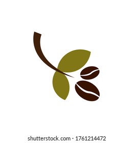 coffee beans plant vector design template illustration 