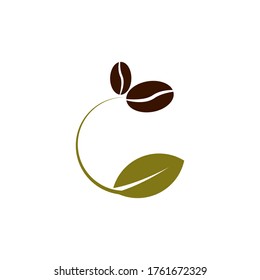 coffee beans plant vector design template illustration 