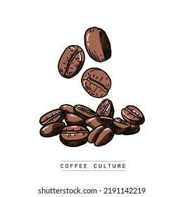 Coffee beans roasted Hand drawn Color illustration