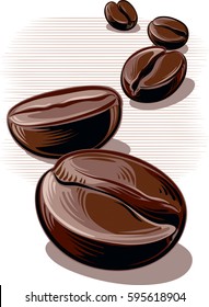 Coffee beans, roasted on a white background.
