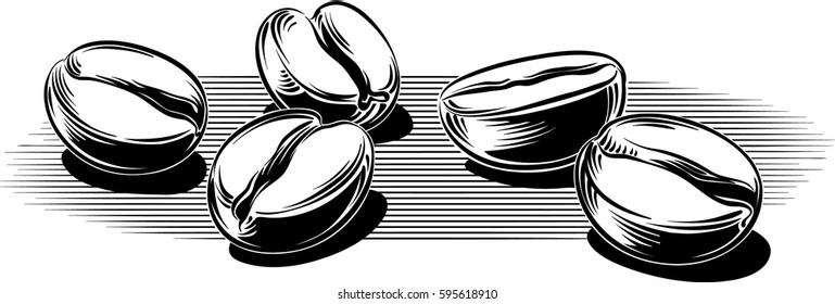 Coffee beans, roasted on a white background.