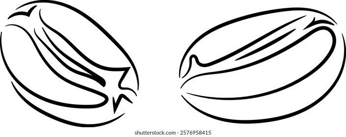Coffee beans roasted. Vector clipart, illustration with isolated background.
