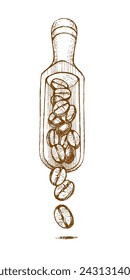 coffee beans, coffee scoop freehand drawing in vector format