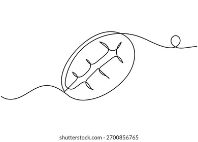 Coffee beans and seeds continuous one line drawing on white background minimalist roasted grain outline vector illustration