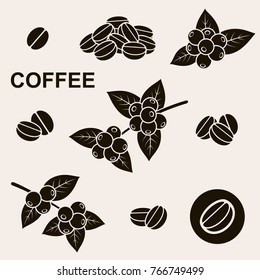 Coffee beans set. Vector