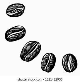 Coffee beans, sketch, black vector hand drawing on a white background