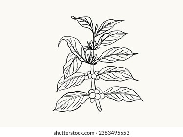 granos de café dibujando pincel de boquilla para afiche, impresión de arte, pegatina de etiqueta de embalaje, impresión de arte, publicidad, tela de patrón