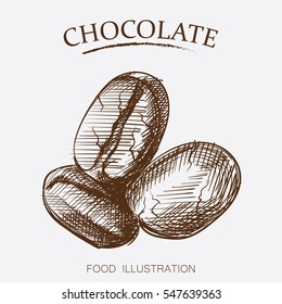Coffee beans sketch style isolated on white background.  Retro style vector illustration poster.