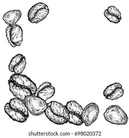 Coffee beans sketch style isolated on white background. Retro style vector illustration poster. Drawing for labels, packaging of coffee beans.