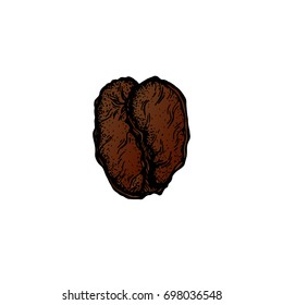 Coffee beans sketch style isolated on white background. Retro style vector illustration poster. Drawing for labels, packaging of coffee beans.