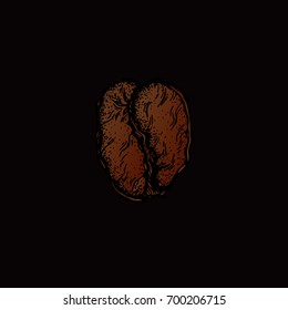 Coffee beans sketch style isolated on white background. Retro style vector illustration poster. Drawing for labels, packaging of coffee beans.