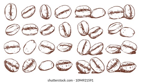 Coffee beans, sketch, vector drawing set, Ingredient, Doodle design