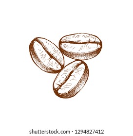 coffee beans, sketch, vector drawing, perfect ingredient, choice grain