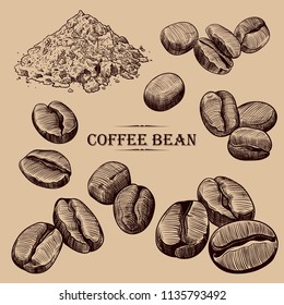 Coffee beans sketches collection.Varied coffee beans and ground coffee.  Hand-drawn illustration in vintage style. Isolated design elements.