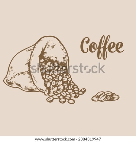 coffee beans in storage sacks. hand drawn coffee bean storage sack illustration.
coffee beans vector illustration