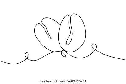 Coffee beans in the style of line art. Vector illustration of coffee beans, in silhouette. Coffee shop concept, logo, banner, logo.