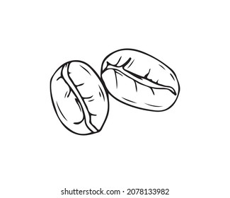 coffee beans in the style of vector graphics, sketch. coffee beans icon, logo