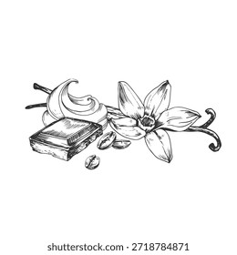 Coffee beans, vanilla and chocolate slice vector illustration hand-drawn in ink. Black and white design objects isolated on white background.