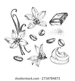Granos de café, vainilla y Ilustraciones vectoriales de rebanadas de chocolate, dibujados a mano en tinta. Objetos de diseño en blanco y negro aislados sobre fondo blanco.