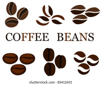 Coffee beans various kinds in collection. Vector illustration