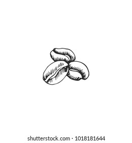 coffee beans vector draw