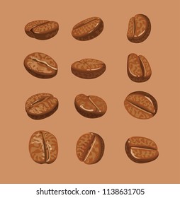 coffee beans vector illustration