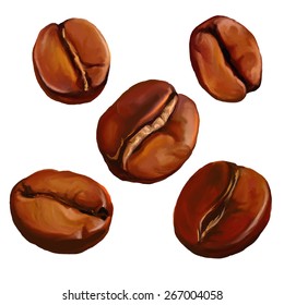 coffee beans vector illustration  hand drawn  painted watercolor 