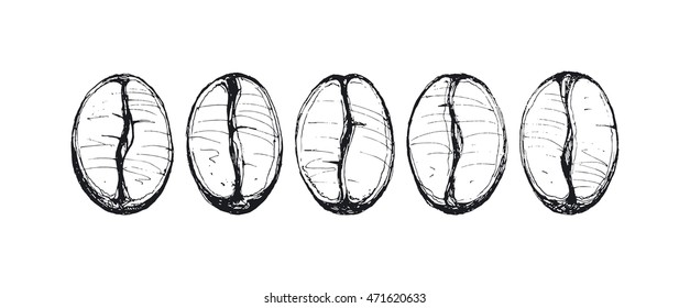 coffee beans, vector illustration, vintage style, sketch, black and white drawing