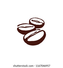 coffee beans vector image