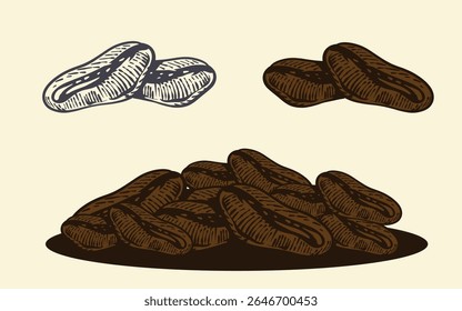 Coffee beans vector set illustration