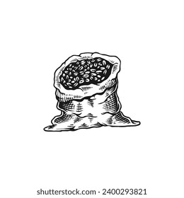 ilustración vectorial de grabado vintage de granos de café