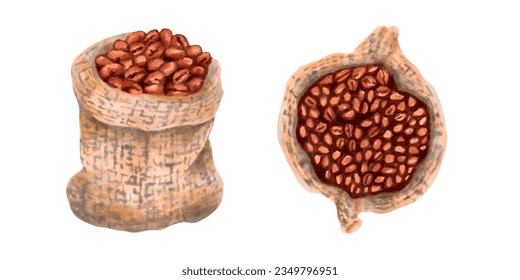 Coffee beans in a woven canvas bag. Top and front view. Arabica coffee. Cappuccino, mocha, espresso, latte, chocolate ingredient. International coffee day.Hand drawn marker art.