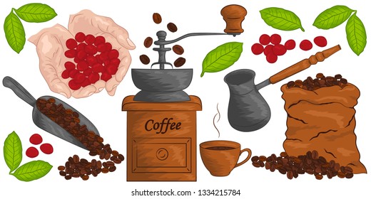 Coffee berries, coffee beans, coffee maker, bag of coffee, grinder and cup espresso. Big colorful set on white background. Modern  design collection for paper, logos, fabrics, covers, interiors, card.