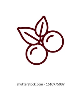 Coffee berries with leaves design of time drink breakfast beverage shop morning store aroma and caffeine theme Vector illustration