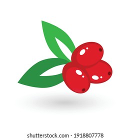 Coffee berries on a branch with leaves. Stylized picture for design.