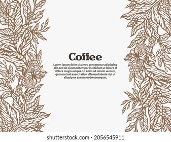 coffee border. Coffee plantation, raw beans on white background.