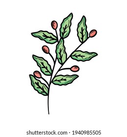 coffee branch with beans design