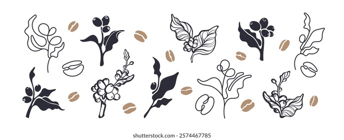 Coffee branch, beans. One thin line sign, black nature form. Hand drawn collection. Vector graphic plantation. Abstract background for food package, cafe design