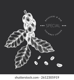 Coffee Branch Chalk Board Illustration. Vector Hand Drawn Isolated Coffee Tree. Vintage Style Plant