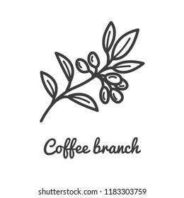 Coffee Branch Icon. Coffee Plant. Branch Of Coffee Icon In Line Style Design. Vector Illustration.