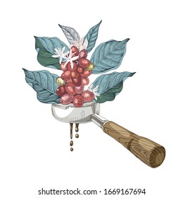 Coffee branch into the portafilter. Making coffee concept. Colorful hand drawn illustration in retro style