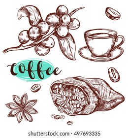 Coffee branch isolated icon set with spices cup of coffee and headline vector illustration