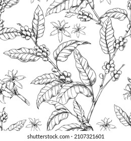 Coffee Branch Pattern. Seamless Print With Hand Drawn Arabica Tree With Leaves And Flowers. Roasted Seeds For Caffeine Beverage. Plant Sketch. Vector Texture Of Espresso Drink Beans
