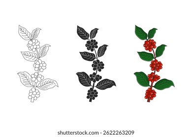 Rama de café en tres estilos: contorno, silueta y Ilustración vectorial de color