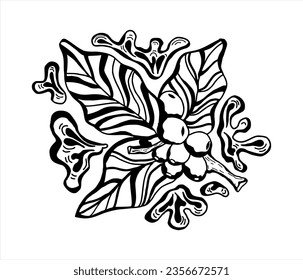 ramas, hojas y frijoles de la línea del vector del café. dibujo botánico, boceto. diseño de arte de línea. estilo natural realista. ilustración orgánica. aislado de fondo blanco.
