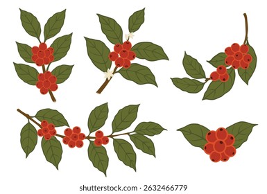 Coffee Branch vector logo isolated on white background.	